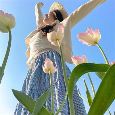 高卢勇士斗凯撒
